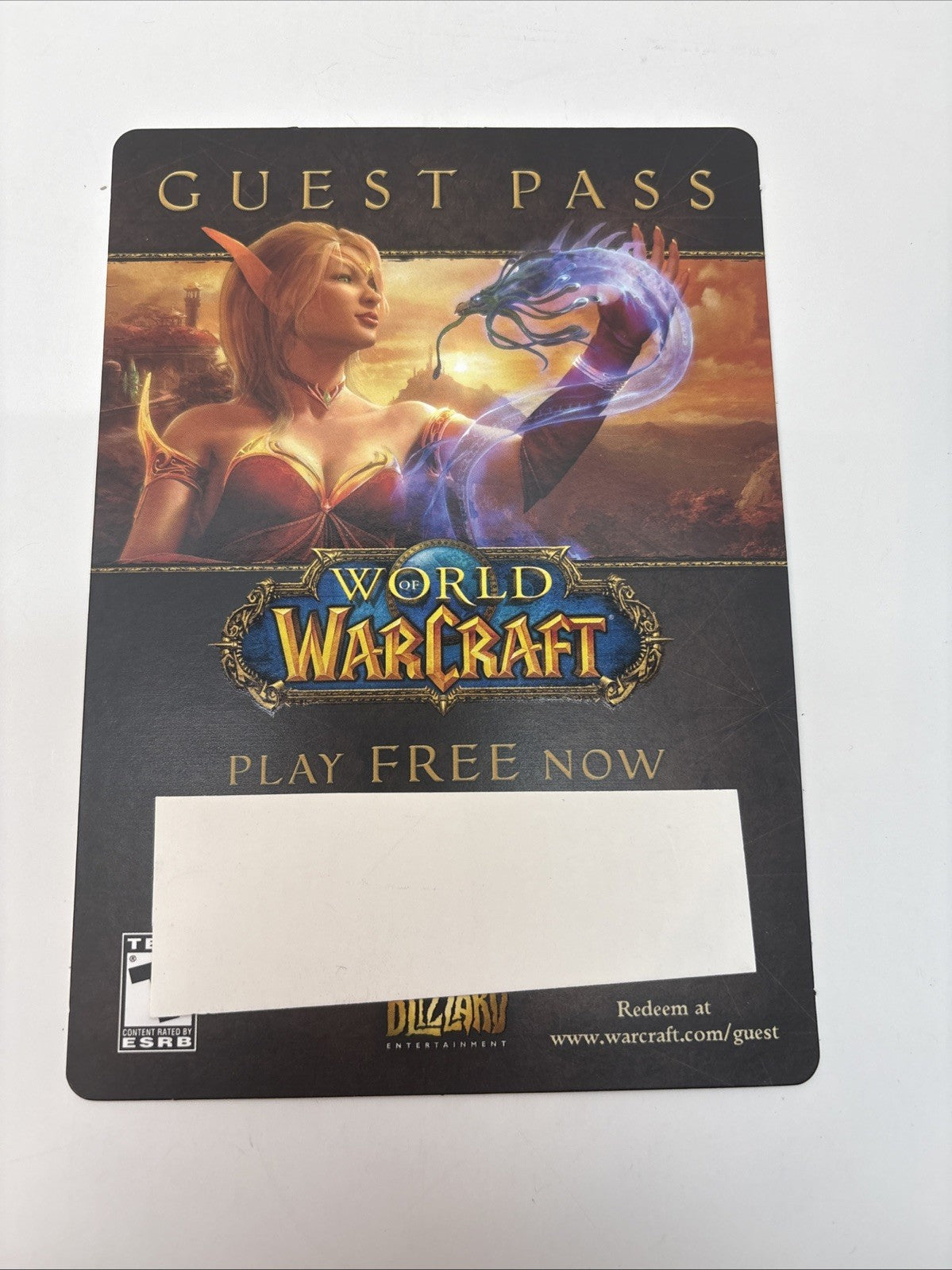 World Of Warcraft 2010 BLIZZARD ENT. 4.5" X 6.5" GUEST PASS PROMO CARD